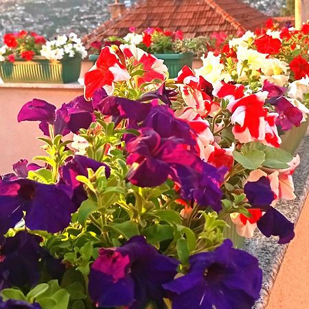 Garden Free Parking Apartman Szarajevó Kültér fotó