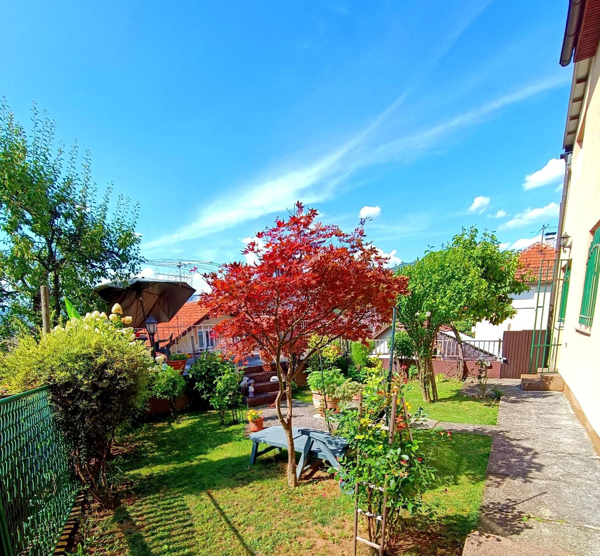 Garden Free Parking Apartman Szarajevó Szoba fotó